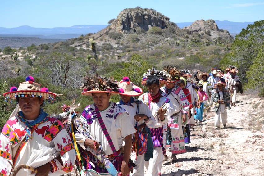 The Wixárika Route extends from the western edge of the Sierra Madre Occidental to the Chihuahuan Desert in San Luis Potosí.